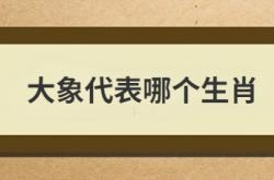  大象代表哪个生肖 ,大象代表哪个生肖和动物