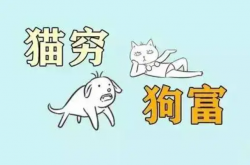 猫来穷狗来富是真的吗