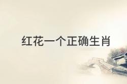  红花一个正确生肖 ,红花一个正确生肖1日6日