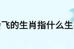  会飞的生肖指什么生肖 ,十二生肖从它来解一生肖