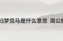  孕妇梦见马是什么意思 周公解梦 ,孕妇梦见马是什么意思有什么预兆