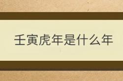  壬寅虎年是什么年 ,壬寅虎年是什么年份