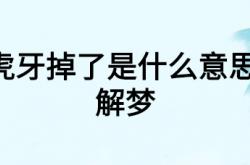  梦见虎牙掉了是什么意思 周公解梦 ,梦见掉牙是好事还是坏事