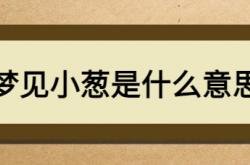  梦见小葱是什么意思 ,梦见小葱是什么意思跟别人不给小葱