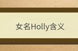  女名Holly含义 