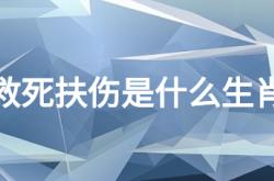  救死扶伤是什么生肖 ,救死扶伤是什么生肖百度知道