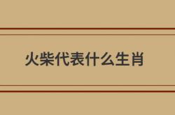  火柴代表什么生肖 ,火柴代表什么生肖和动物