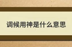  调候用神是什么意思 ,调候用神是什么意思庚辛戊丁