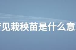  梦见栽秧苗是什么意思 ,怀孕梦见栽秧苗是什么意思