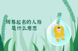  周易起名的人格是什么意思 ,起名的人格怎么算