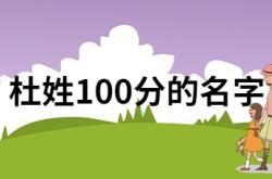  杜姓100分的名字 ,杜姓男孩起名95分以上