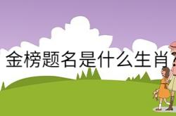  金榜题名是什么生肖? ,金榜题名是什么生肖?2022年11月27号