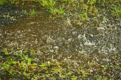 梦见刮风下雨,梦见刮风下雨是什么意思