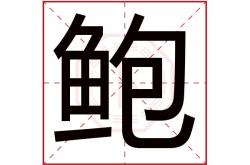 鲍字五行属什么,鲍字五行属什么的