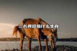 三长两短指什么生肖,三长两短指什么生肖的数