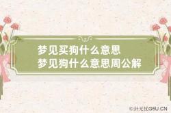 梦见买狗什么意思 梦见狗什么意思周公解梦60岁以上的,做梦梦到买条狗