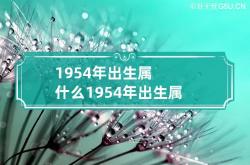 1954年出生属什么 1954年出生属什么生肖属相,1954年出生的属什么,是什么命