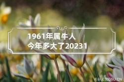 1961年属牛人今年多大了2023 1960年属牛的今年多少岁,1961年的牛2022年怎么样