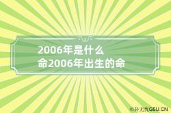 2006年是什么命 2006年出生的命,2006年出生的是啥命人