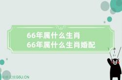 66年属什么生肖 66年属什么生肖婚配表,请问66年属什么生肖