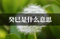 癸巳是什么意思,夫妻宫癸巳是什么意思