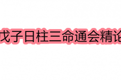 戊子日柱三命通会精论,戊子日命中注定的配偶,戊子日柱的好八字组合