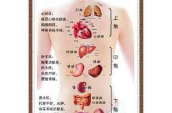 手相五脏分布图,手掌与疾病对照表,手相脏腑图