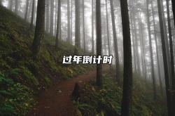 过年倒计时,过年倒计时屏保2020