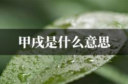 甲戌是什么意思,财帛甲戌是什么意思