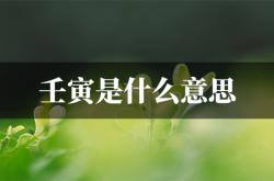 壬寅是什么意思,岁次壬寅是什么意思