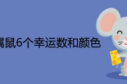 84年属鼠6个幸运数和颜色