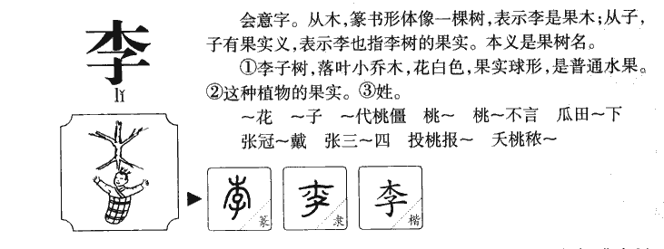 姓李的宝宝起名用什么字好