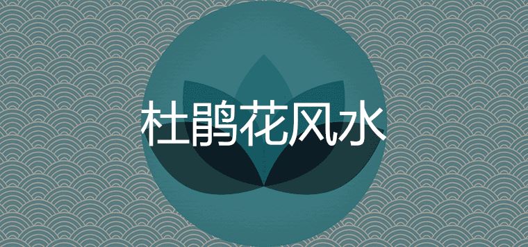 家里为什么不放杜鹃花