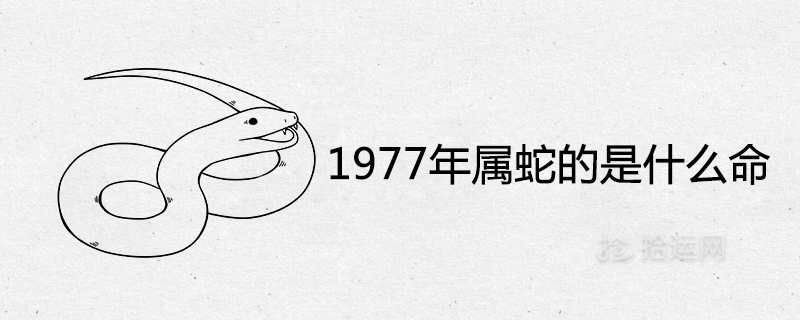 1977年属蛇的是什么命