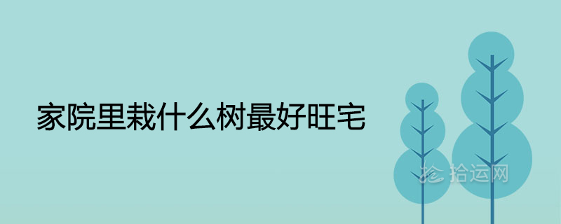 家院里栽什么树最好旺宅旺风水