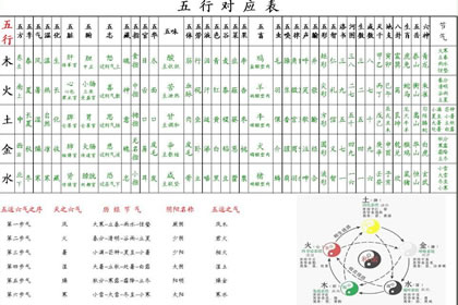 生 肖与五行