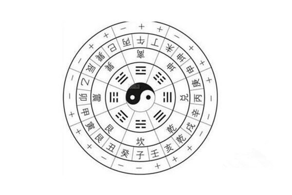 头脑最聪明的4大生肖(头脑灵活聪明机智的4大生肖动物)缩略图