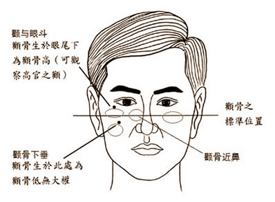 面相大全：鹳骨