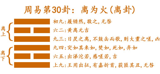 30 离为火(离卦).jpg