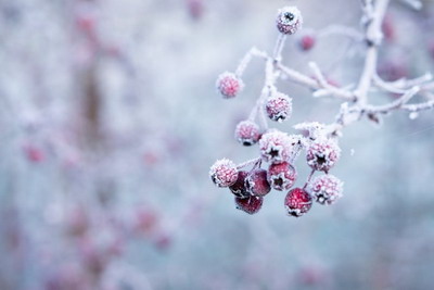 立冬节气代表什么意思,立冬和冬至有什么区别