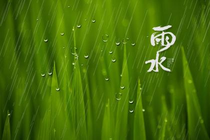 雨水是什么季节的节气