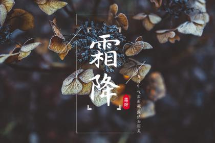 秋分节气有什么活动