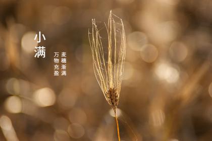 小满是什么季节的节气