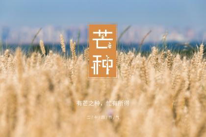 2020年6月5日芒种日子订婚好吗,芒种是什么意思