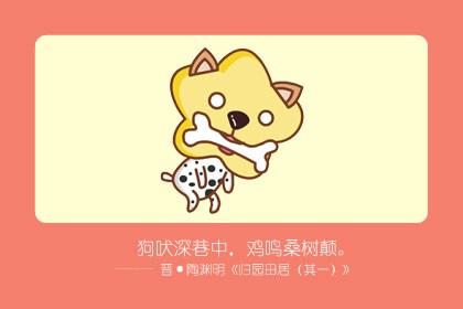 鼠与狗合不合 属相运势怎么样