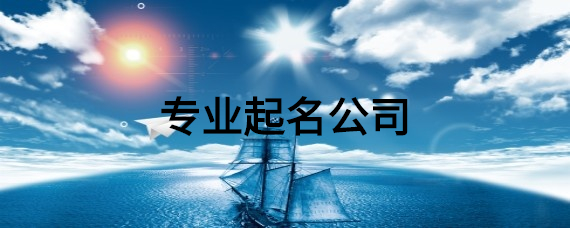 专业起名公司