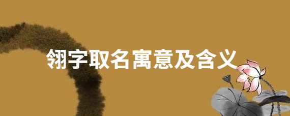 翎字取名寓意及含义