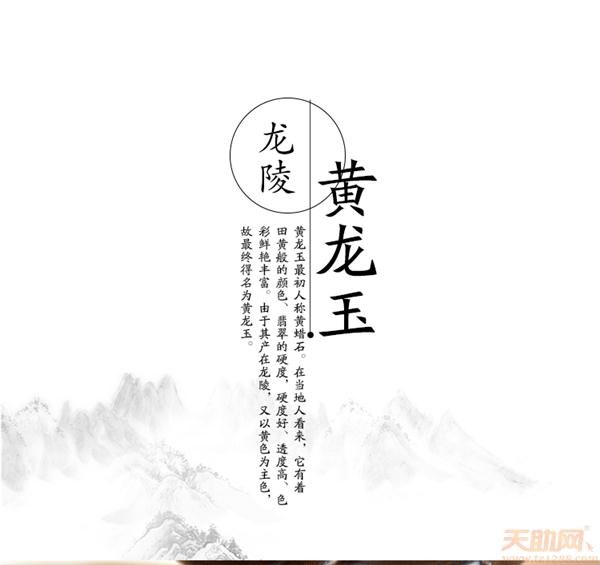 三七代表什么生肖