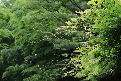 农历二月有哪些节气