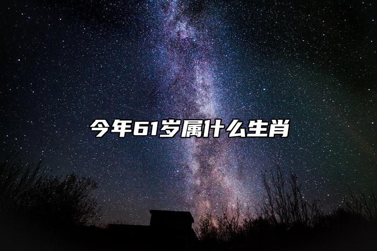 今年61岁属什么生肖 61岁属什么生肖2023年多大